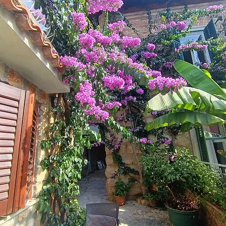 Bougainvillea アパート Mošćenička Draga